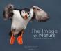 The Image Of Nature - How To Cath Light & Life - Preview