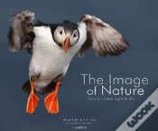 Capa do artigo The Image Of Nature - How To Cath Light & Life