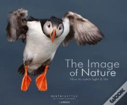 Capa do artigo The Image Of Nature - How To Cath Light & Life