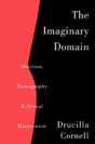 The Imaginary Domain - Preview