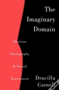 Capa do artigo The Imaginary Domain