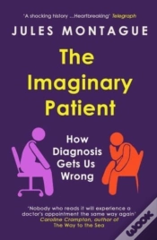 Capa do artigo The Imaginary Patient