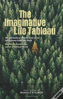 Capa do artigo The Imaginative Life Tableau