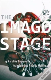 Capa do artigo The Imago Stage