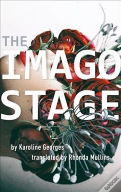 Capa do artigo The Imago Stage