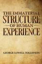 The Immaterial Structure Of Human Experience - Preview