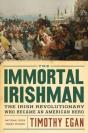 The Immortal Irishman - Preview