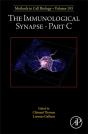 The Immunological Synapse Part C - Preview