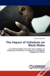 The Impact Of Initiatives On Black Males