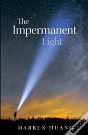 Capa do artigo The Impermanent Light
