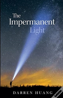 Capa do artigo The Impermanent Light