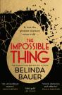 The Impossible Thing - Preview
