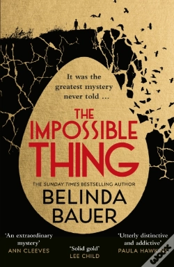 Capa do artigo The Impossible Thing