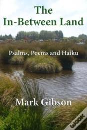 Capa do artigo The In-Between Land