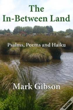 Capa do artigo The In-Between Land