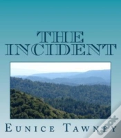 Capa do artigo The Incident