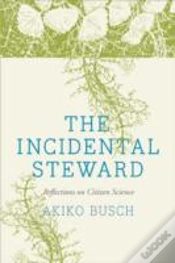 Capa do artigo The Incidental Steward