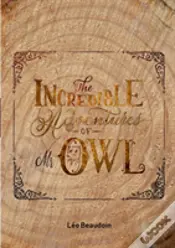 The Incredible Adventures Of Mr Owl