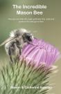 The Incredible Mason Bee - Preview