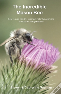 Capa do artigo The Incredible Mason Bee