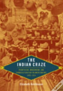 Capa do artigo The Indian Craze