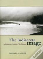 The Indiscrete Image
