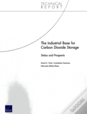 Capa do artigo The Industrial Base For Carbon Dioxide Storage