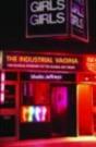 The Industrial Vagina - Preview