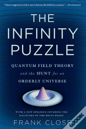 Capa do artigo The Infinity Puzzle