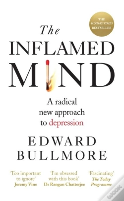 Capa do artigo The Inflamed Mind
