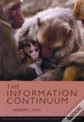 The Information Continuum