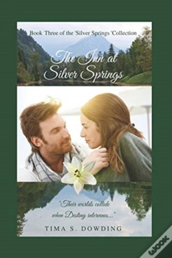 Capa do artigo The Inn At Silver Springs