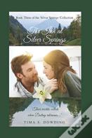 The Inn At Silver Springs