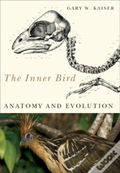 Capa do artigo The Inner Bird