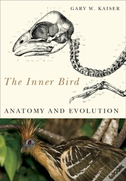 Capa do artigo The Inner Bird