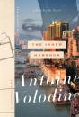 The Inner Harbour - Preview