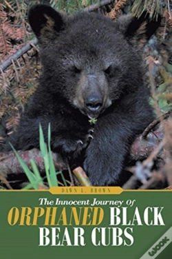 Capa do artigo The Innocent Journey Of Orphaned Black Bear Cubs