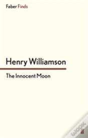 Capa do artigo The Innocent Moon