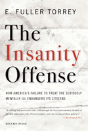 The Insanity Offense - Preview