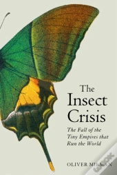 The Insect Crisis