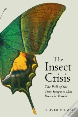 Capa do artigo The Insect Crisis