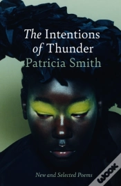 Capa do artigo The Intentions Of Thunder