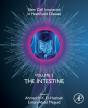 The Intestine - Preview