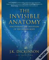 The Invisible Anatomy
