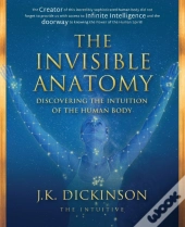 The Invisible Anatomy