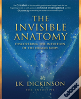 The Invisible Anatomy