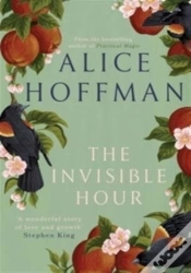 Capa do artigo The Invisible Hour