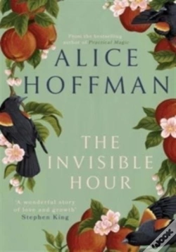 Capa do artigo The Invisible Hour