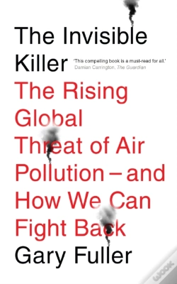 Capa do artigo The Invisible Killer