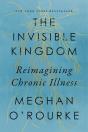 The Invisible Kingdom - Preview